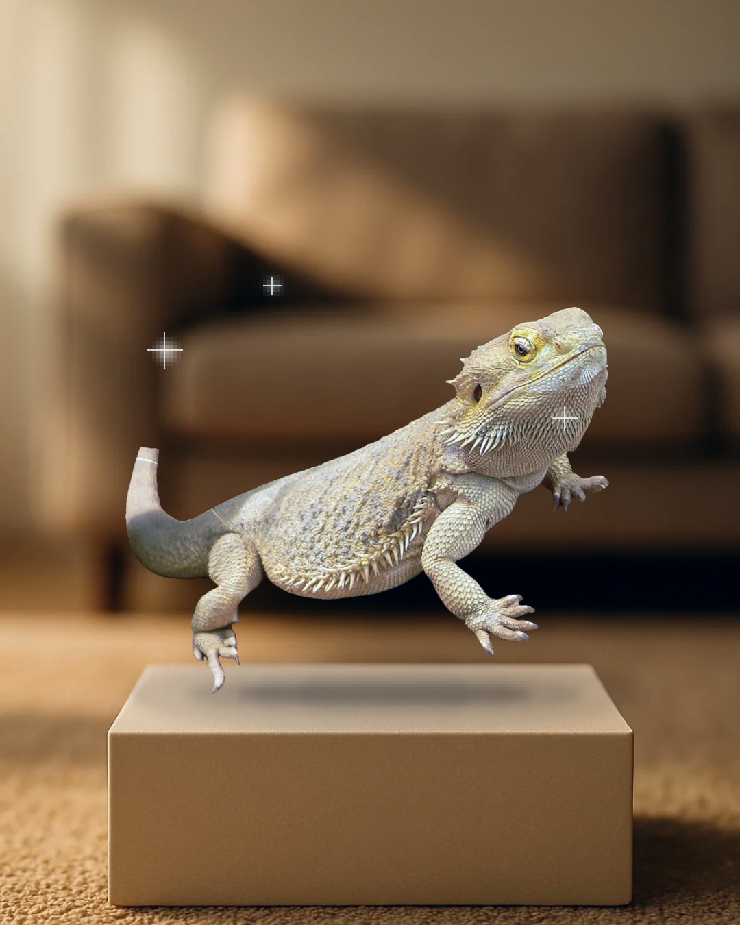 กิ้งก่าสัตว์เลี้ยง — รูปโฆษณา