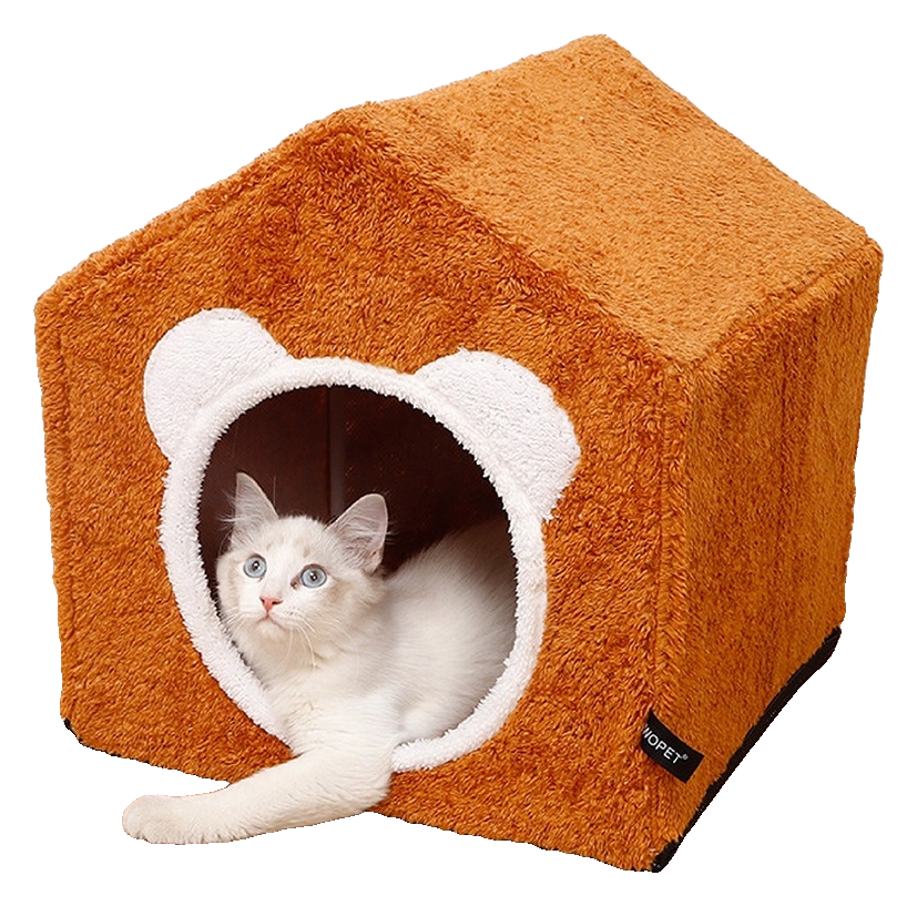 บ้านแมว